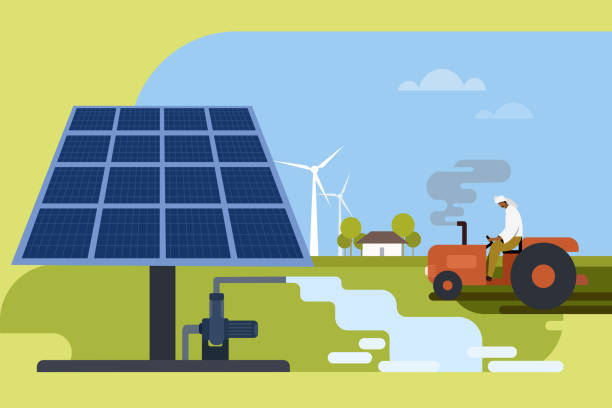 Invest in Solar Power and Enjoy Long-Term Savings